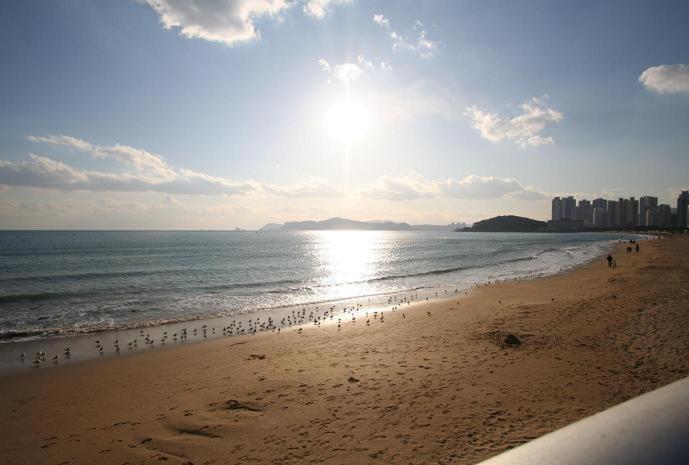 Busan Dalmaji Hotel Buitenkant foto
