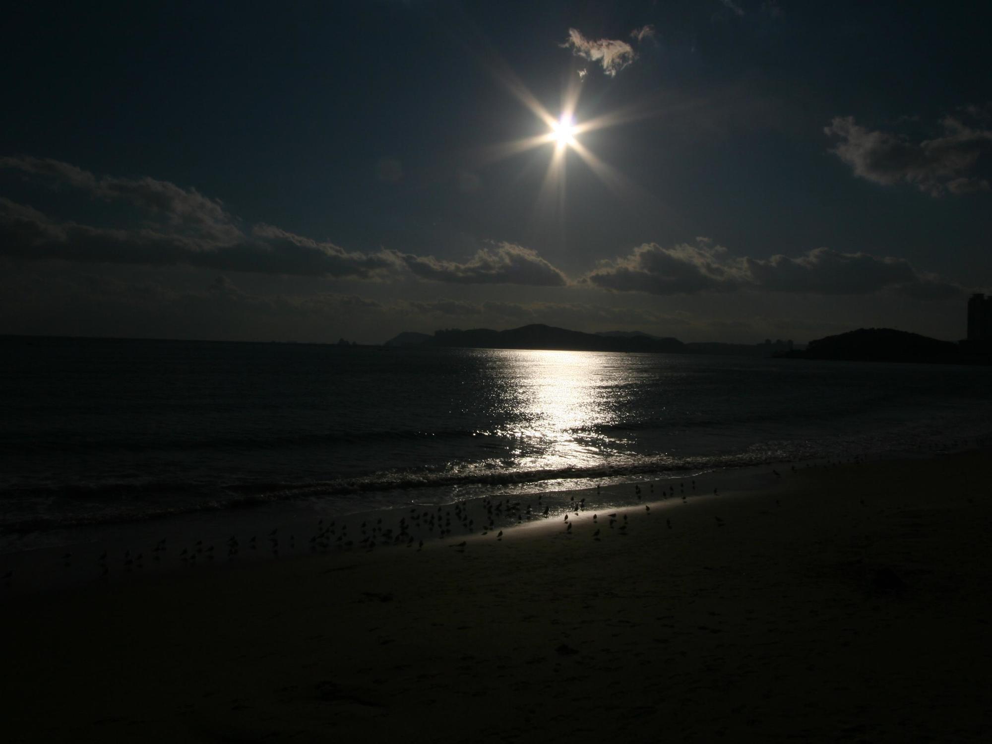 Busan Dalmaji Hotel Buitenkant foto